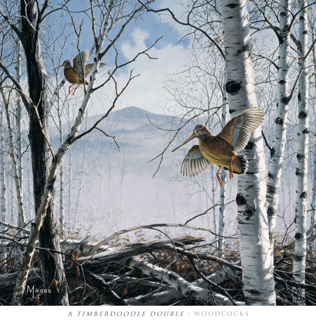 HotLine® Products David Maass Executive Calendar 23