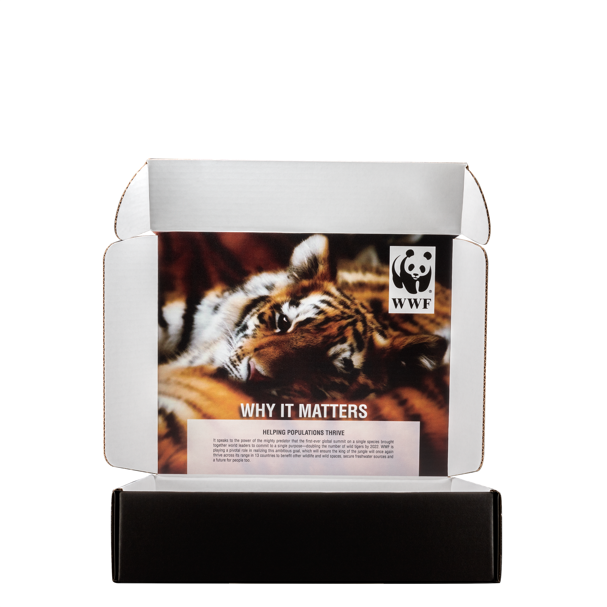 Mailing Box, B-Flute12" x 10" x 3" - White - D - 360 sq in 4