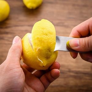 2 In 1 Stainless Steel Peeler And Spoon 19