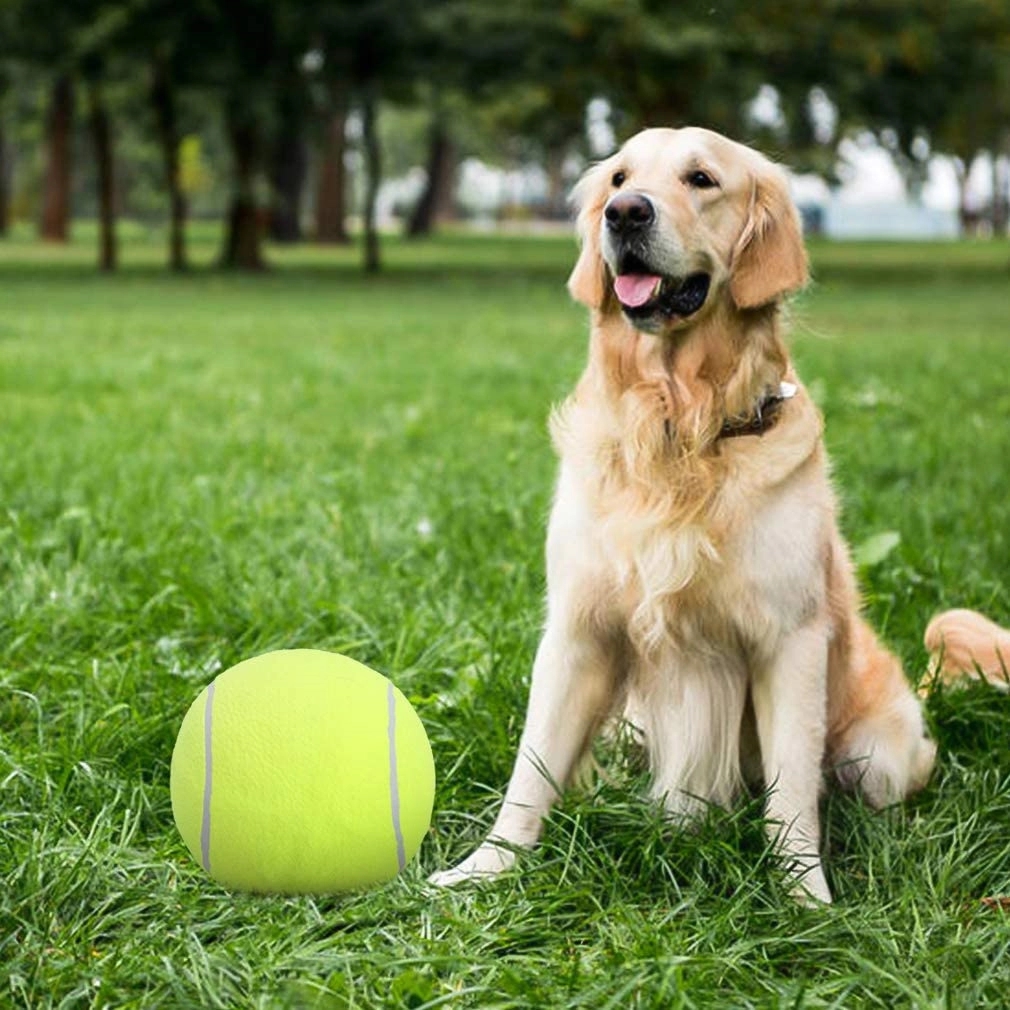 Large Tennis Ball Doggie Puzzle Toys 2