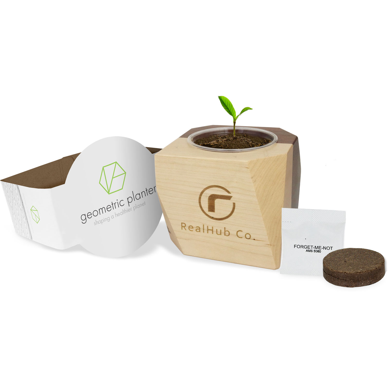 Geometric Wooden Planter 1