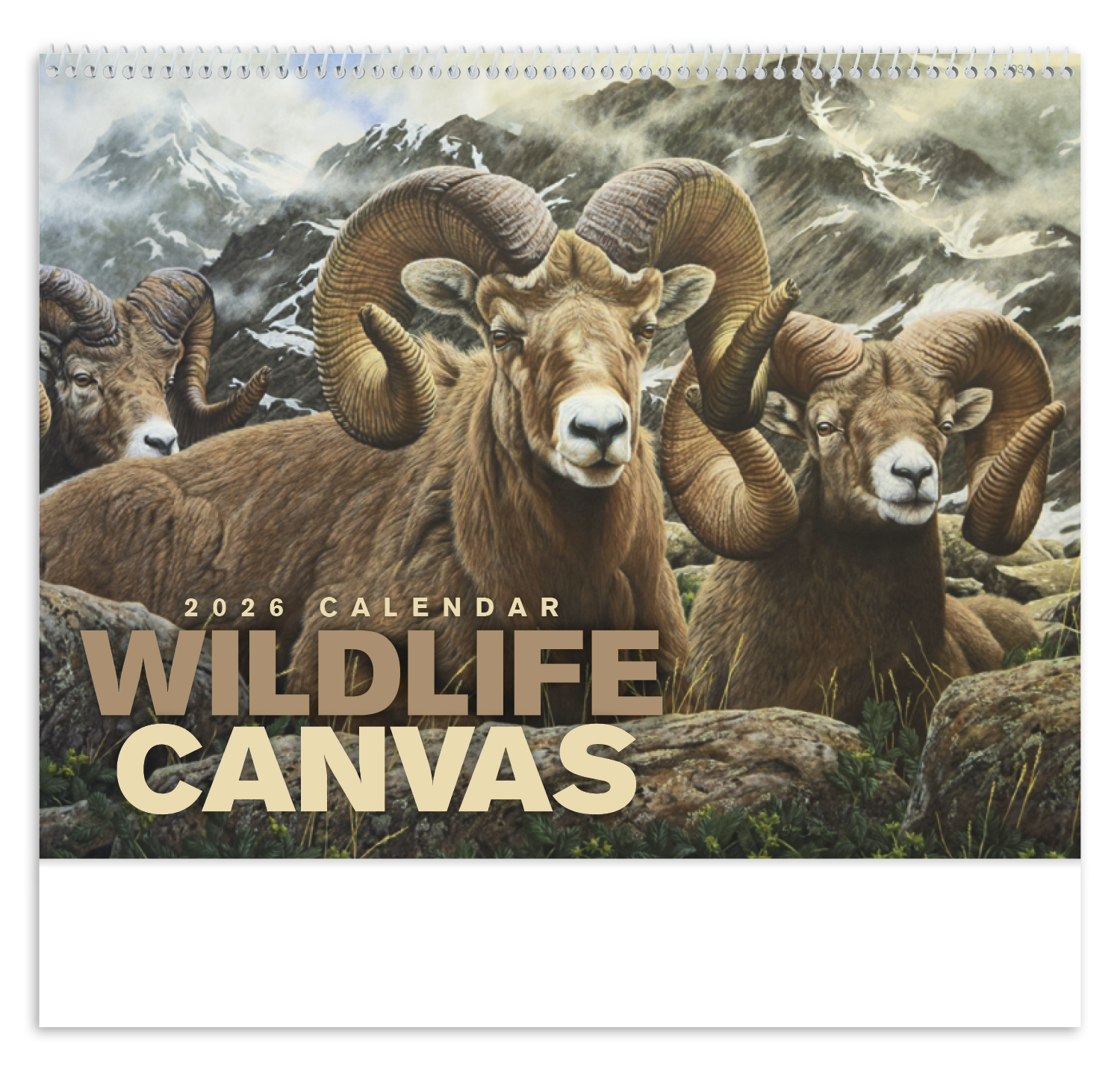 Good Value™ Wildlife Canvas - Spiral Calendar 20