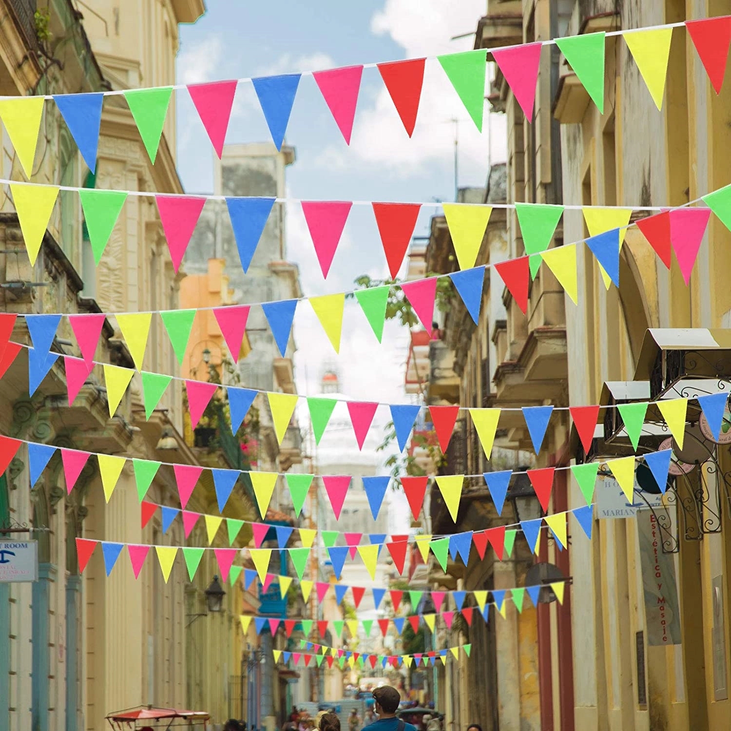 Colorful Pennant Flags Banner 2