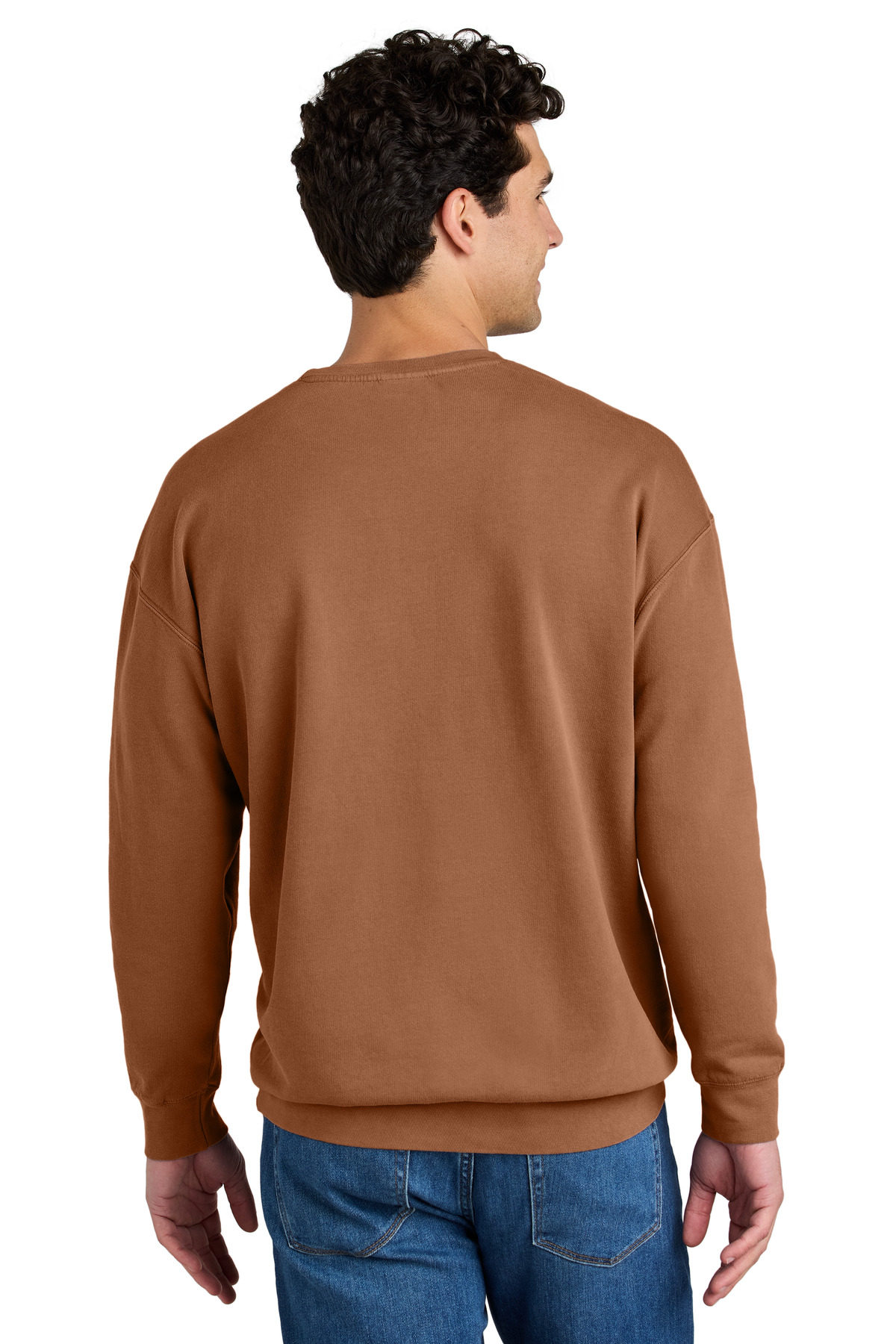 Comfort Colors Lightweight Crewneck Sweatshirt 1466 74