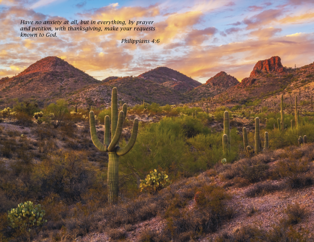 Triumph® Calendars Catholic Scenic Calendar 32