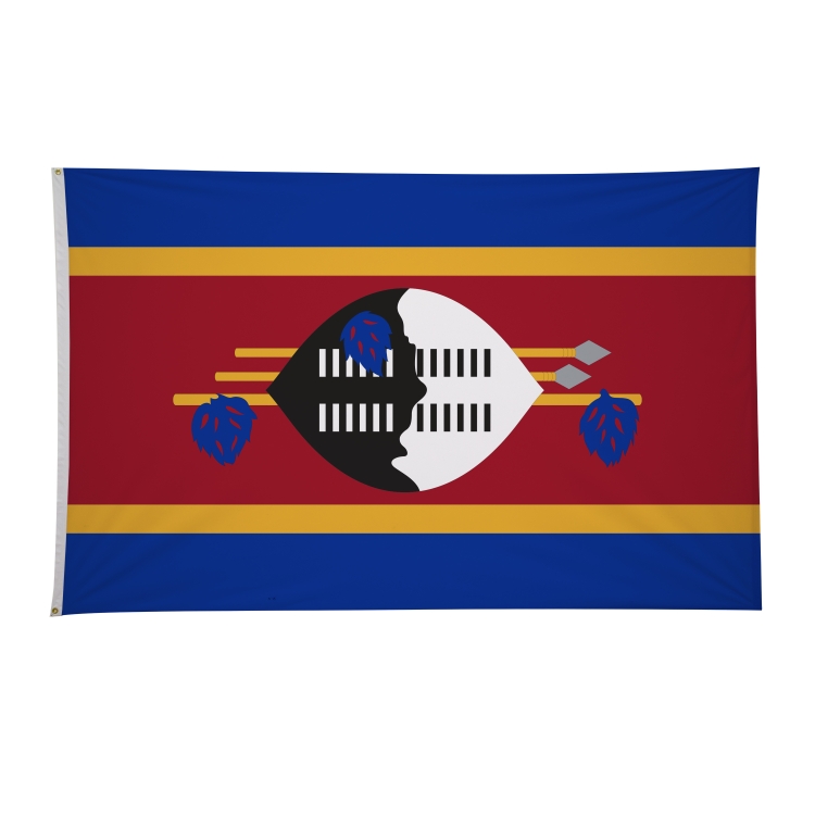 5' x 8' International Flags 109