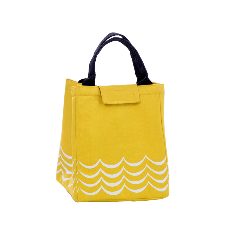 Insulated Lunch Bag 1