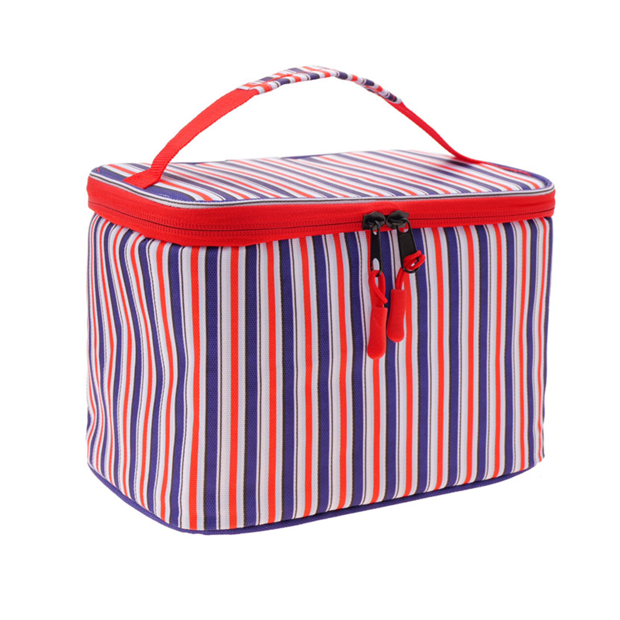 6 Cans Insulated Lunch Cooler Portable Bag 11