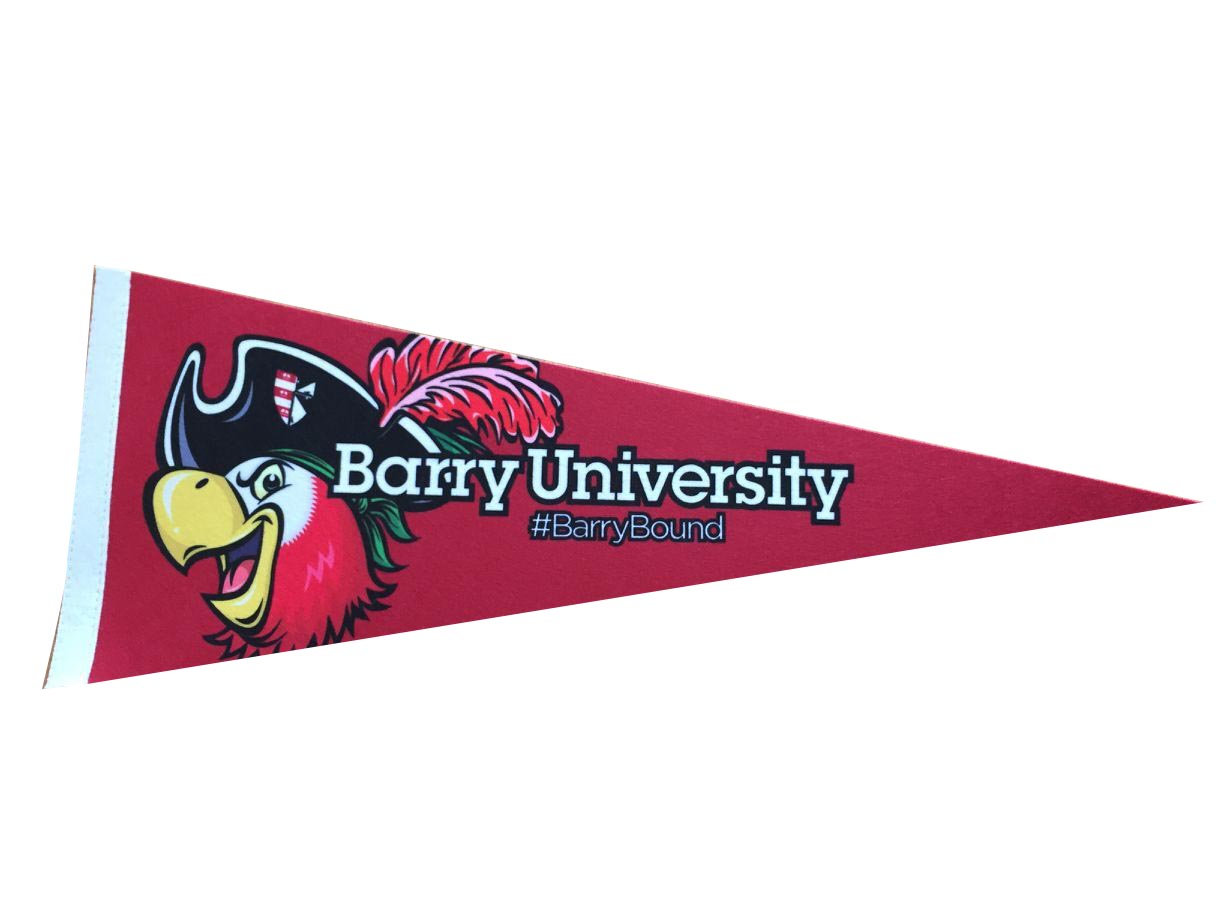 Felt Pennant 1