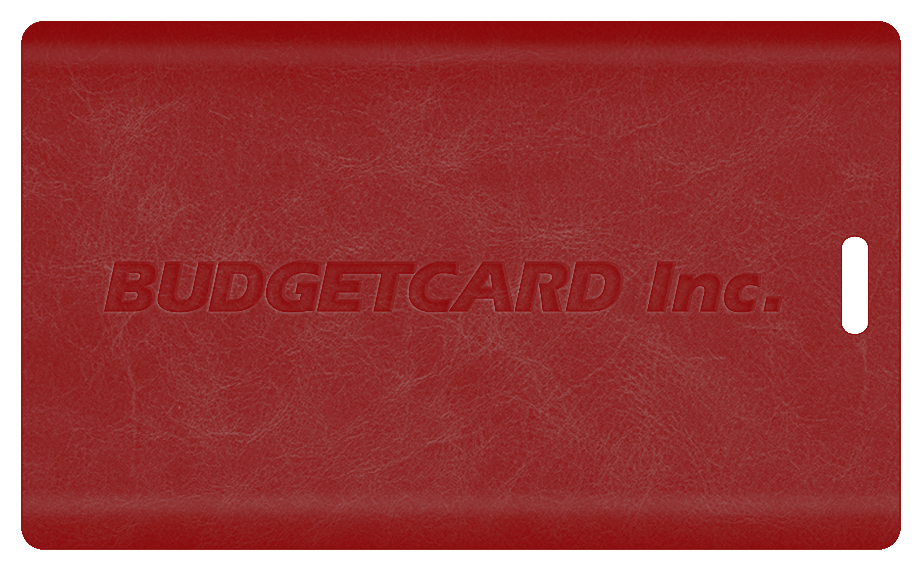Luggage Tag Paneled Back For Writing, Large 3