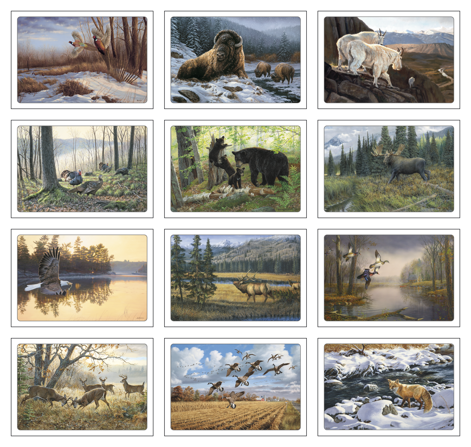 Triumph® Calendars Wildlife Art Pocket Calendar 9
