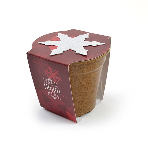Flowerpot Planting Kit 4