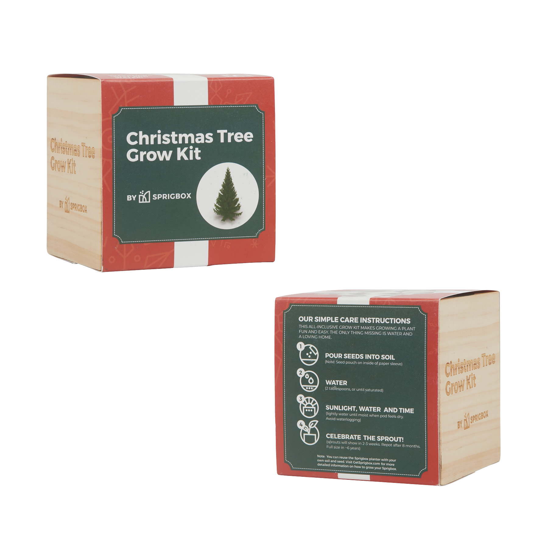 Sprigbox Christmas Tree Grow Kit 1