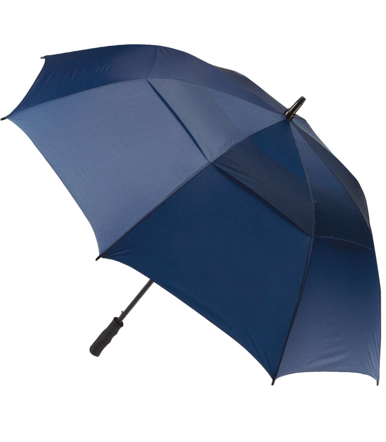 The Open Umbrella 1