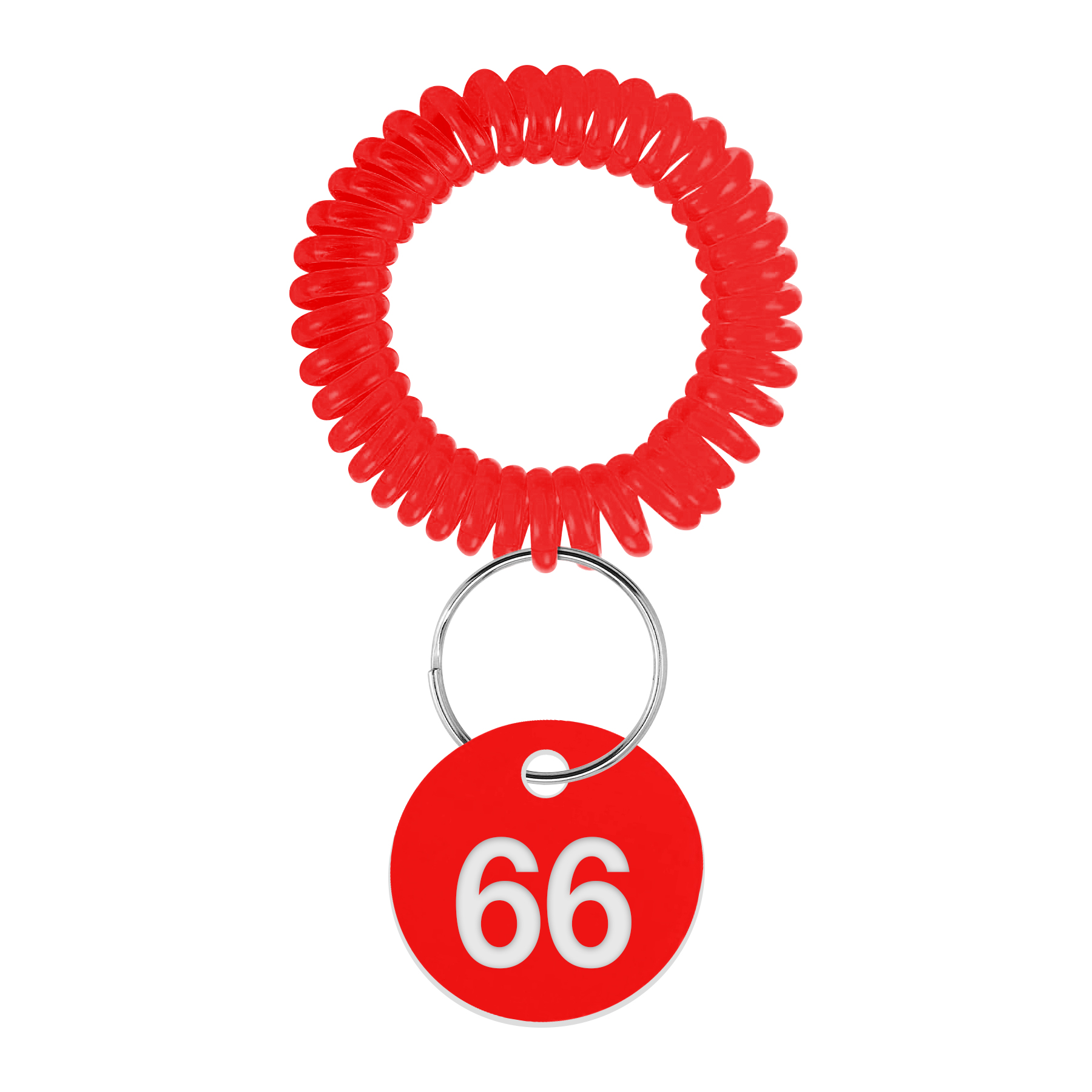 EVA Plastic Spring Number Plate Keychain 10
