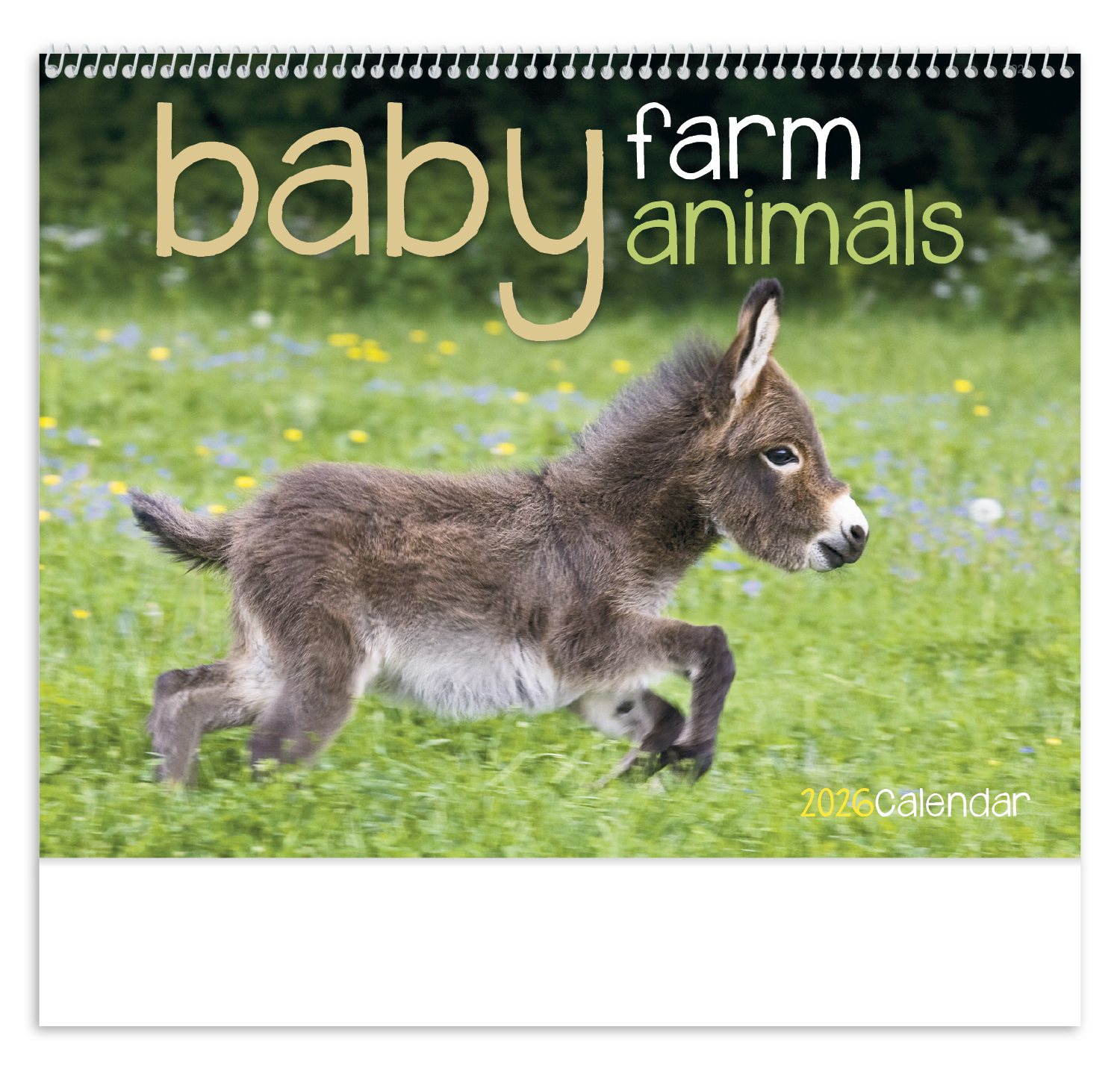 Good Value™ Baby Farm Animals - Spiral Calendar 28