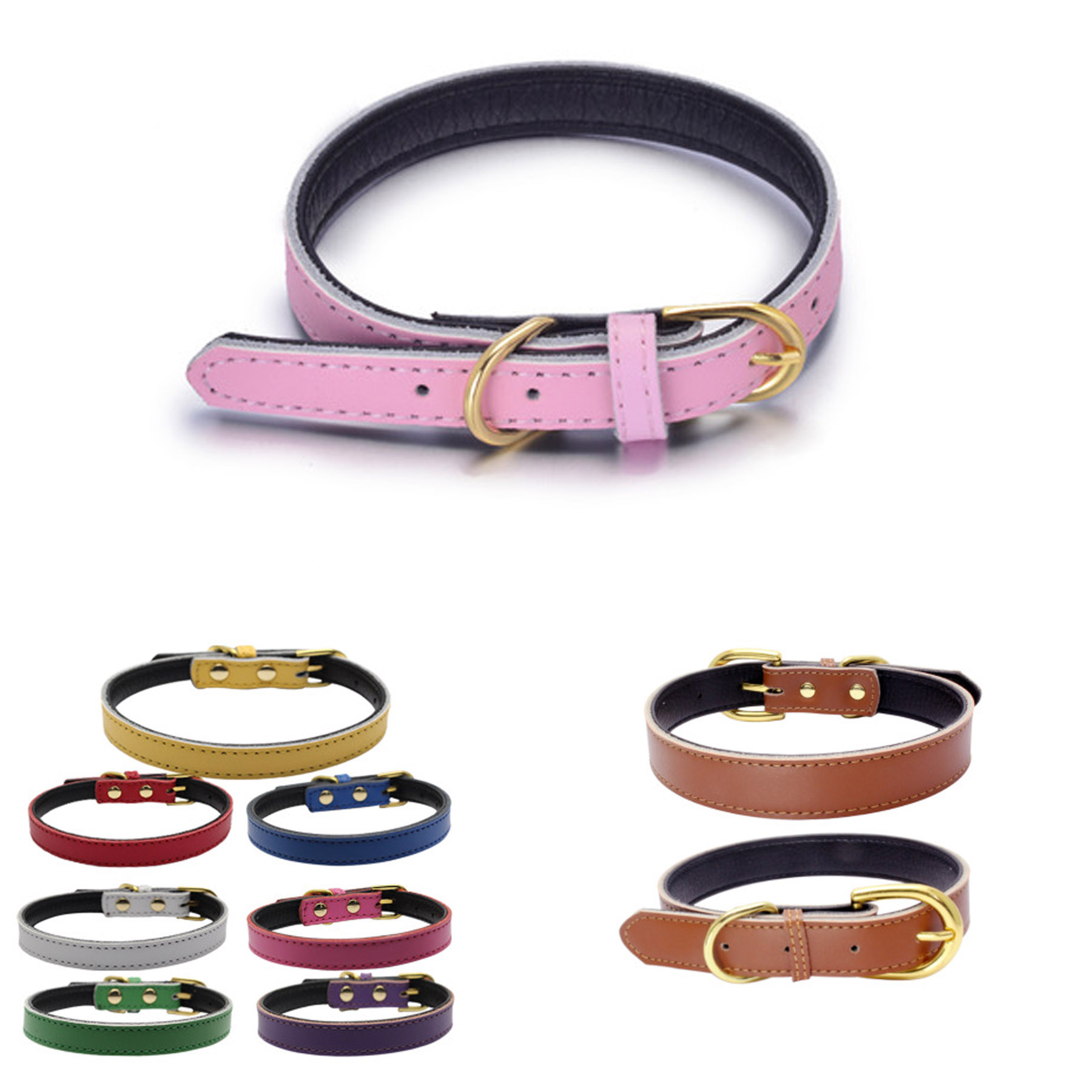 Pet Collar 1