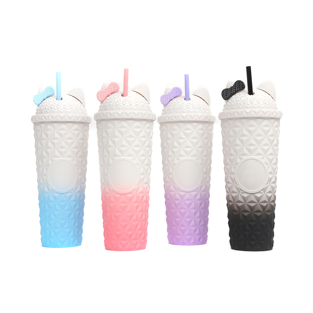 Double-Walled Straw Fashion Tumbler 1