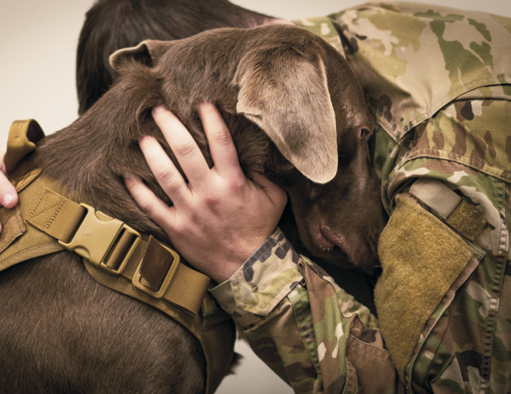 Good Value™ American Armed Forces - Spiral Calendar 26