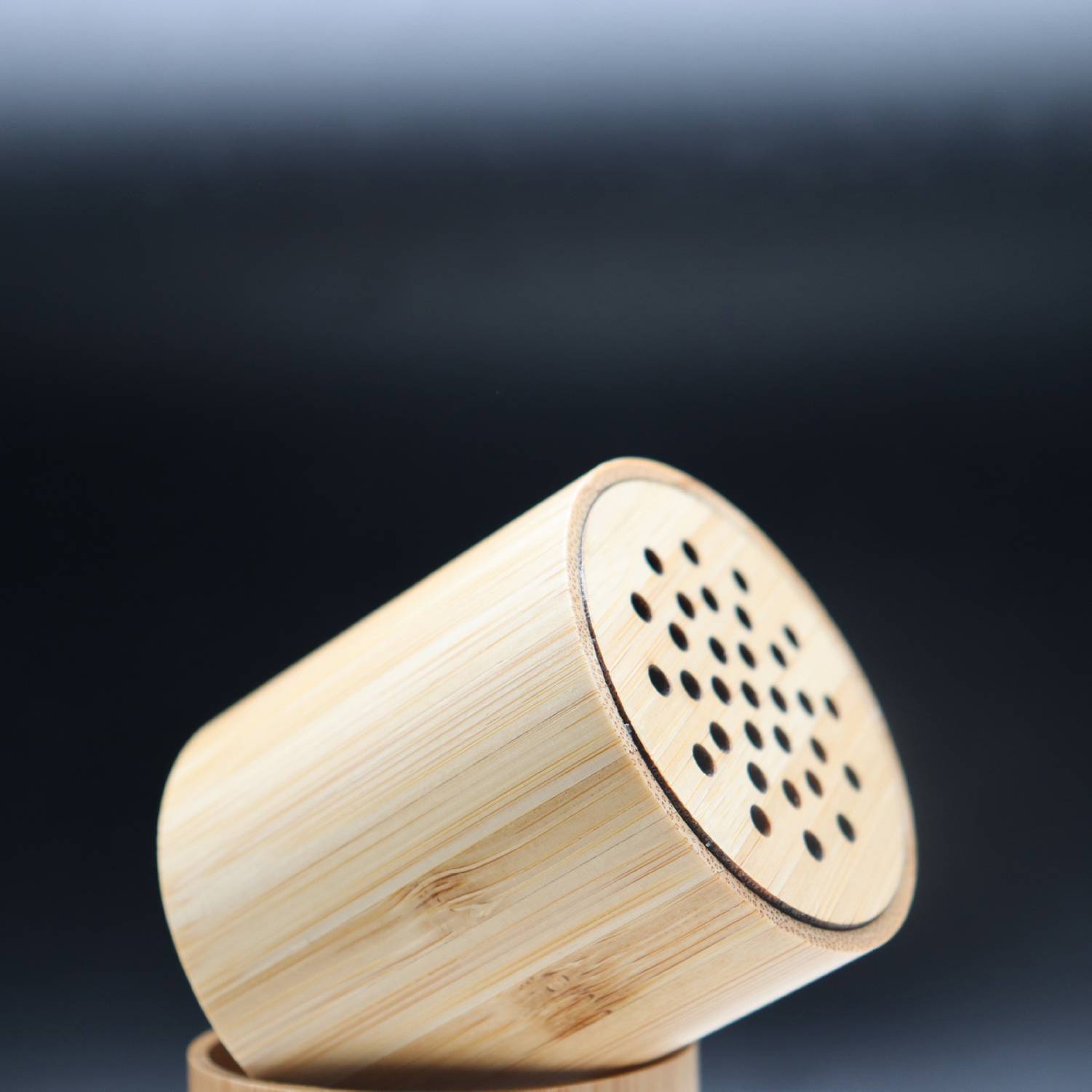 Bamboo Plastic Compact Bluetooth Speaker 4