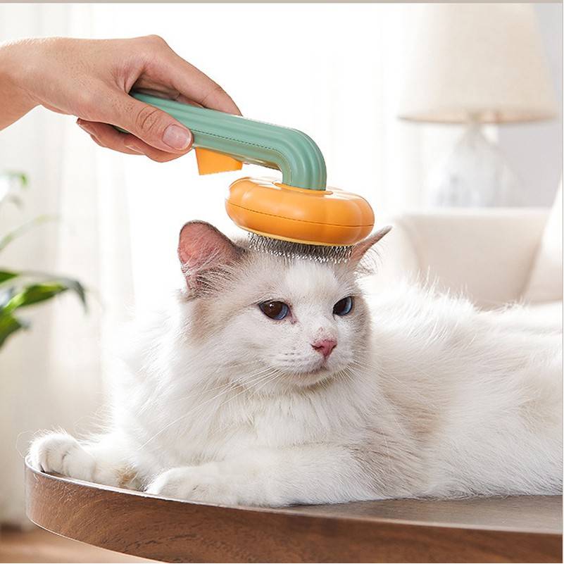 Pumpkin Design Pet Comb 3