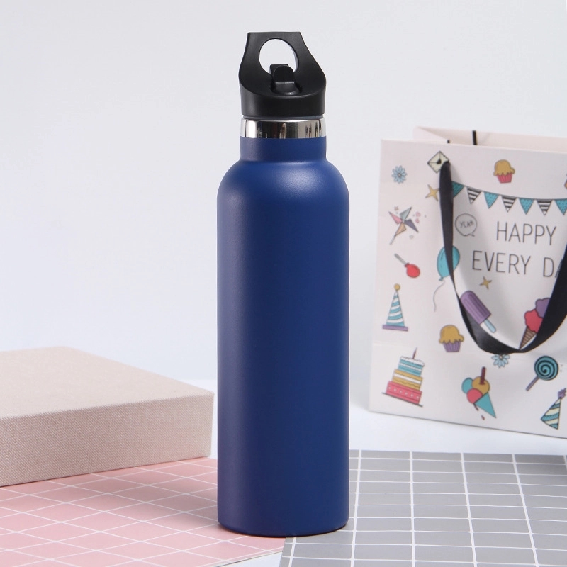 20 oz Stainless Steel Water Bottle w/Straw Lid 8
