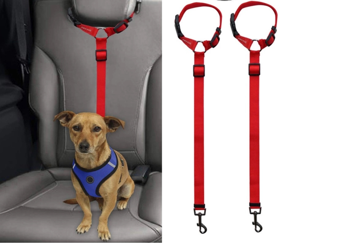 Pet Car Carrying Safety Rope Ring 2