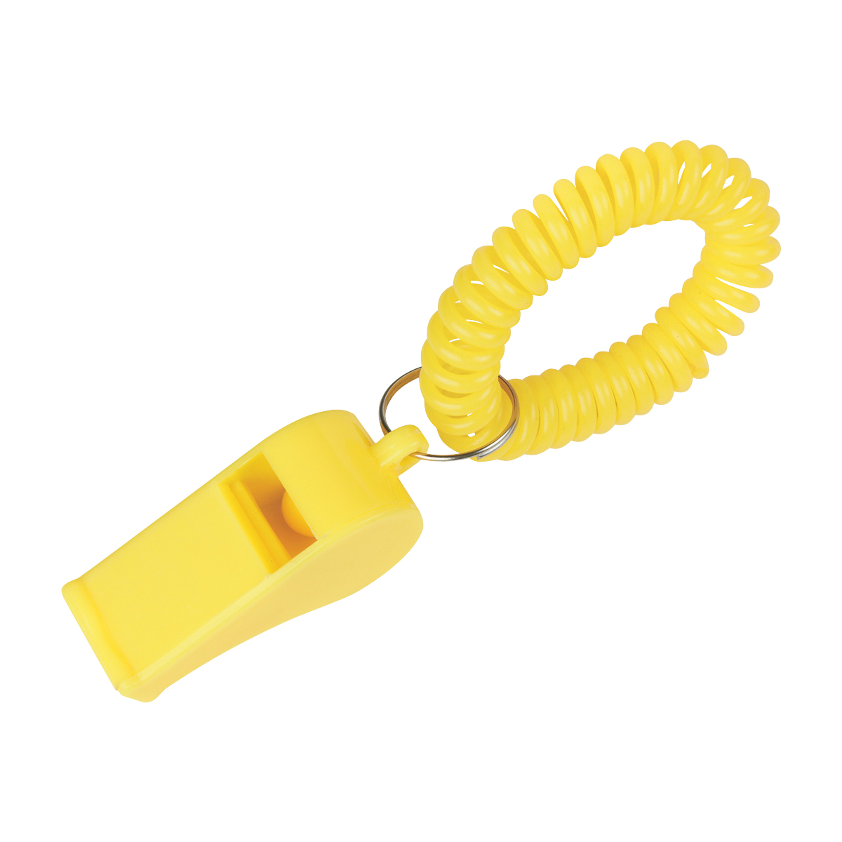 Whistle With Coil 6