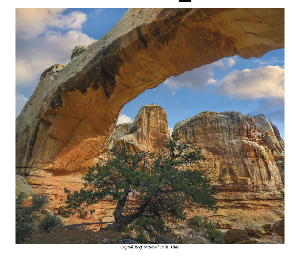 HotLine® Products Scenic America® Pocket Calendar 37