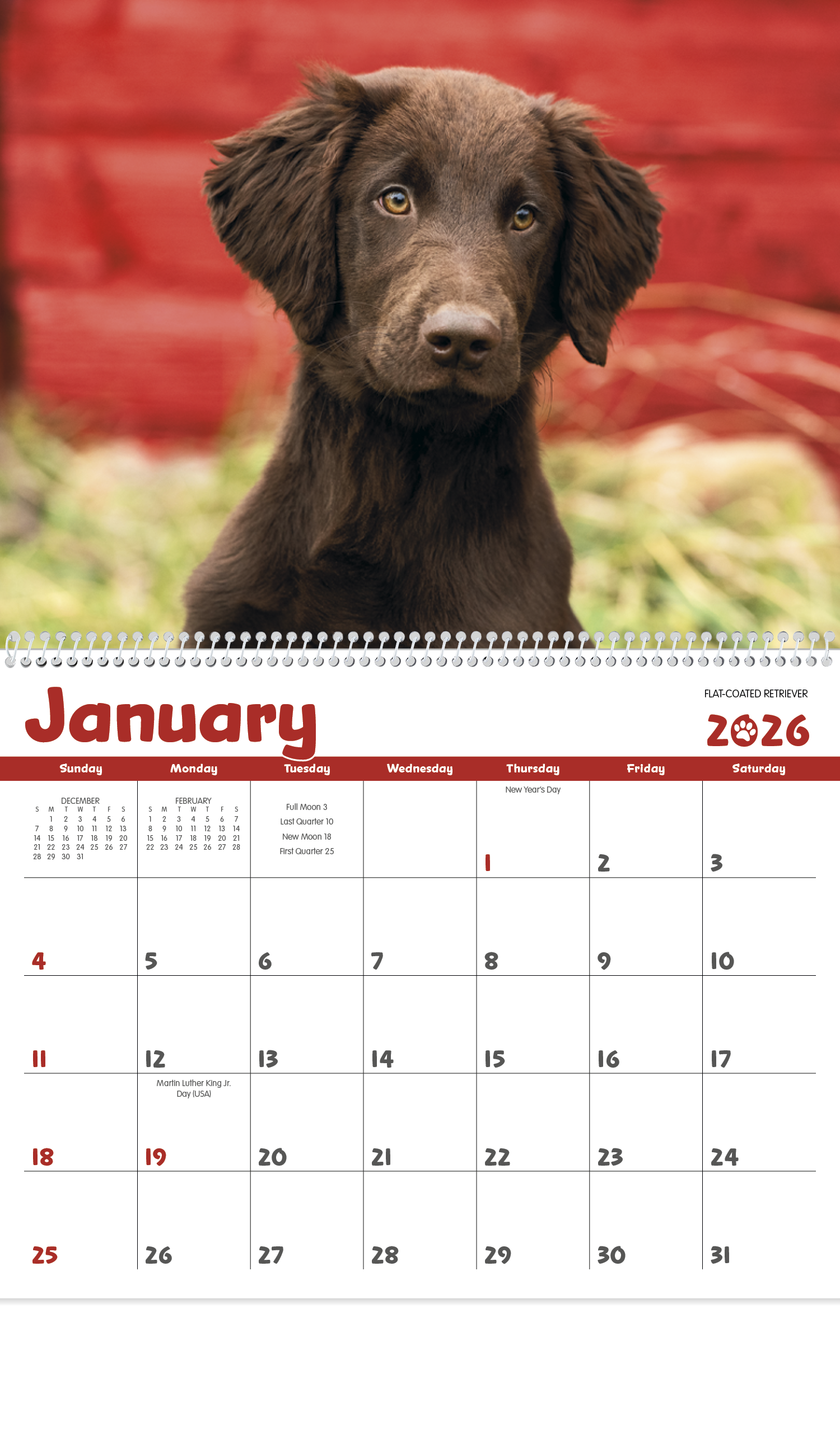 Triumph® Calendars Puppies Calendar 17