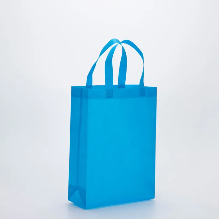80 gsm Non-Woven Bag/Shopping Bag 4