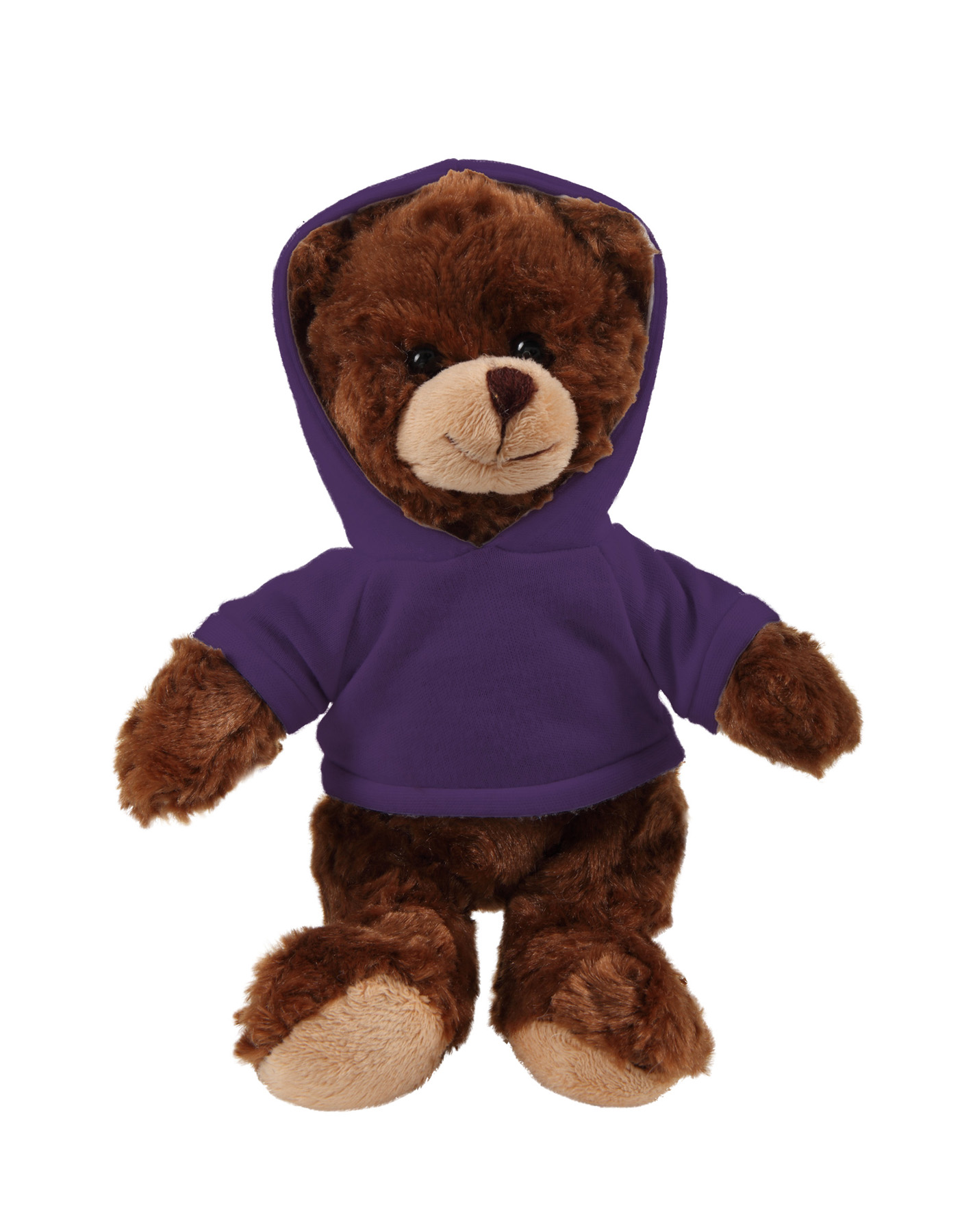 soft plush  Chocolate Curly Sitting Bear with hoodie 7