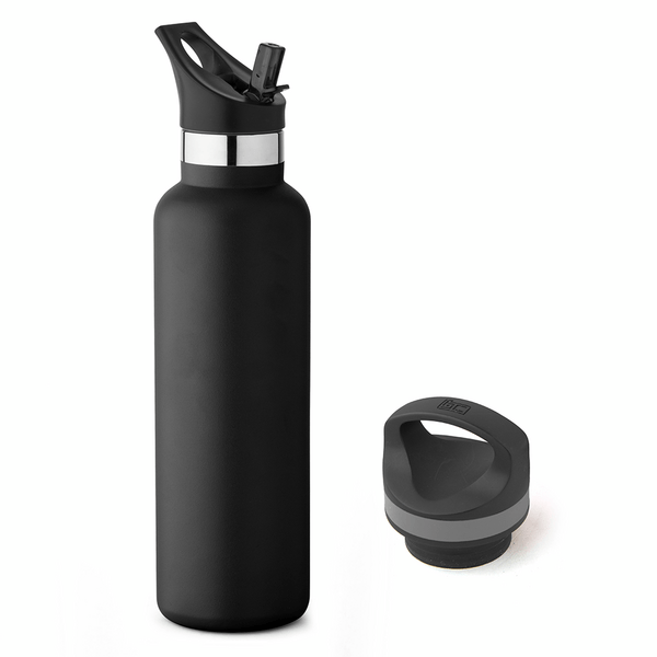 20 oz Basecamp Mesa Tundra Bottle with Screw Top and Flip-Top Straw Lid 161