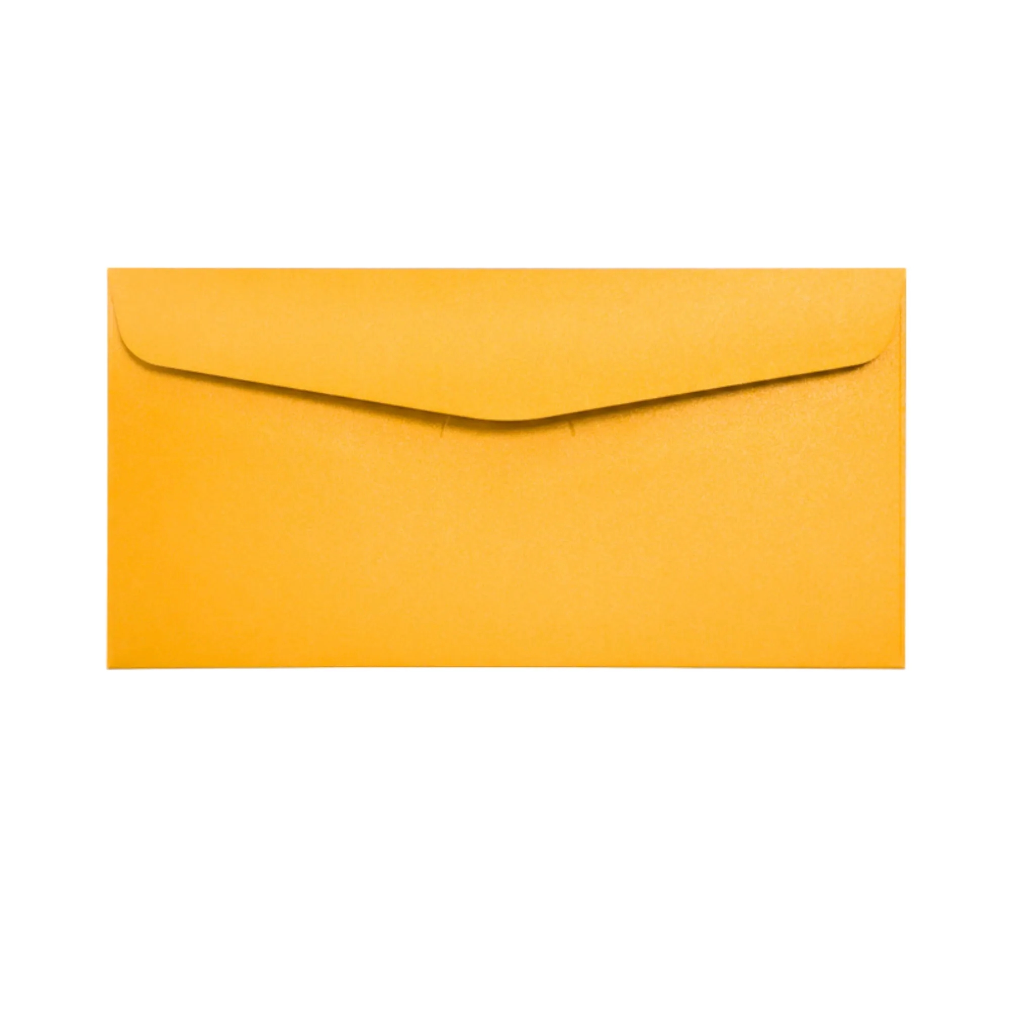 Gold Foil Pearlescent Envelope (8.5" x 4.5") 7