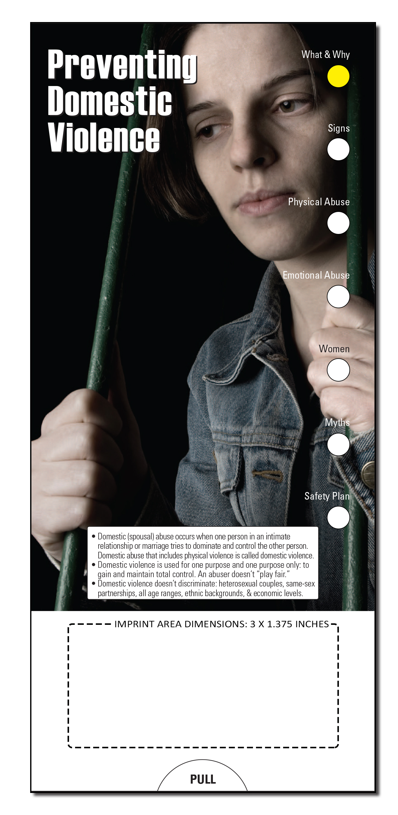 SLIDE CHART - Preventing Domestic Violence Slide Chart 2