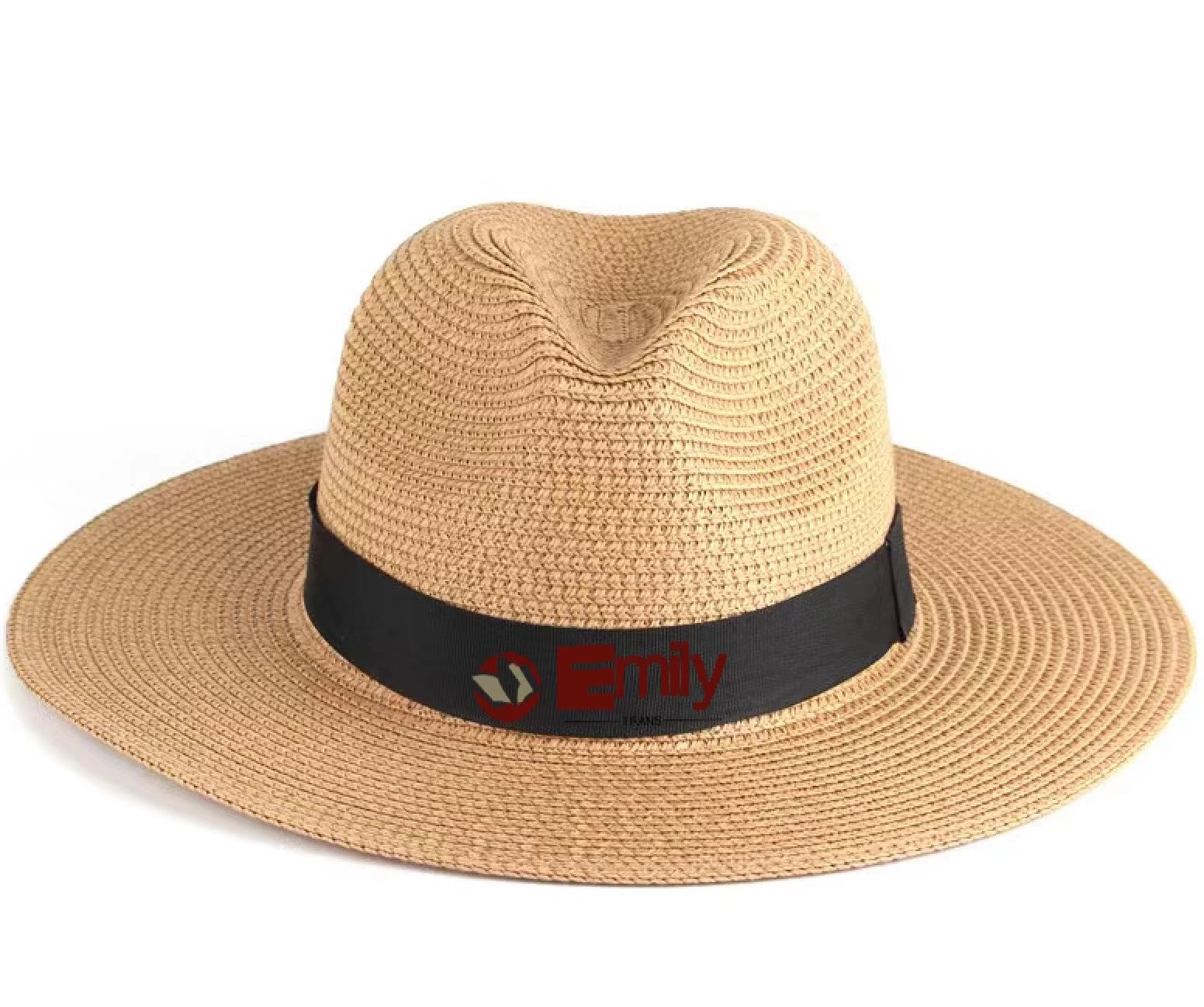 Women Straw Panama Hat 2