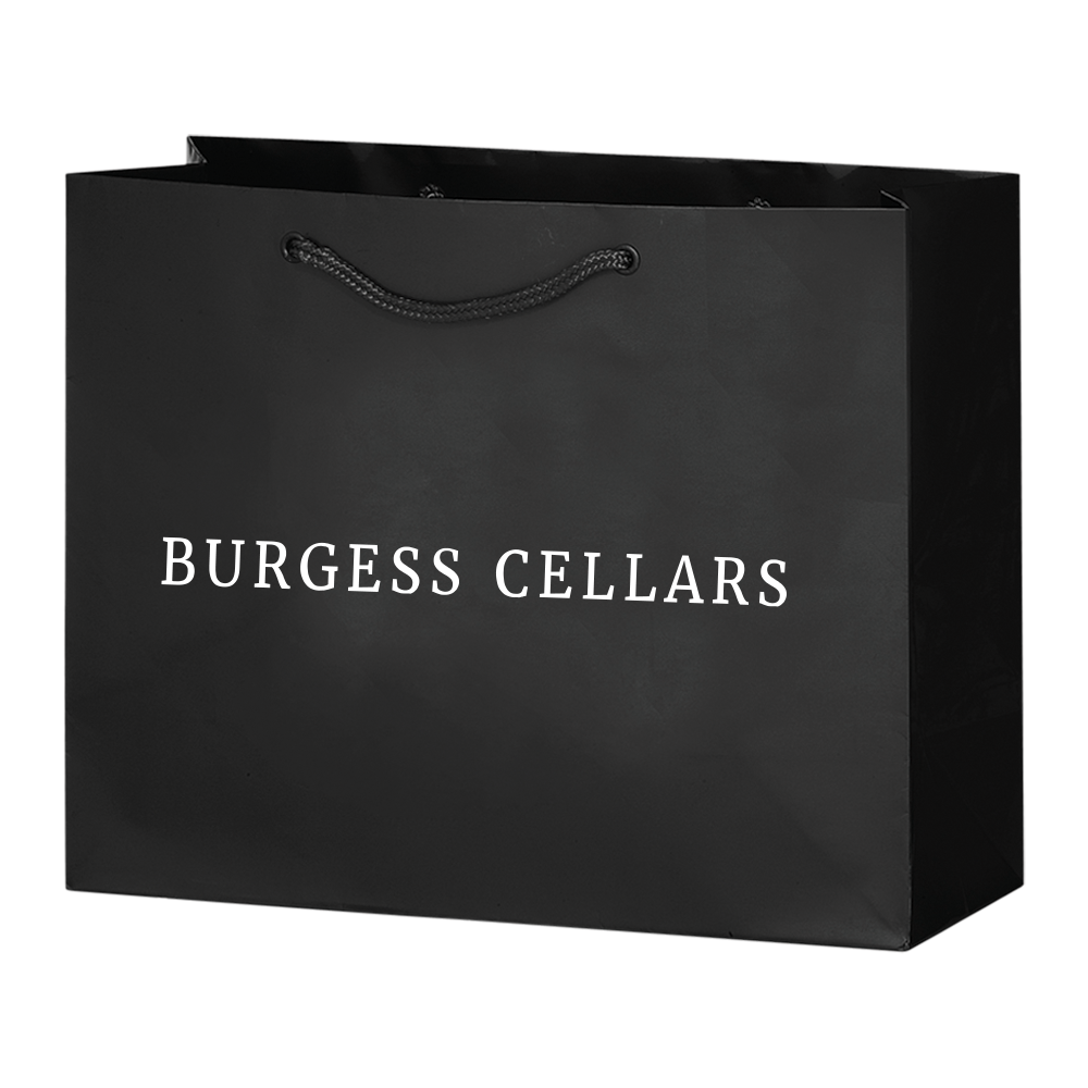 2-Bottle Luxury Laminated Paper Horizontal Tote 1