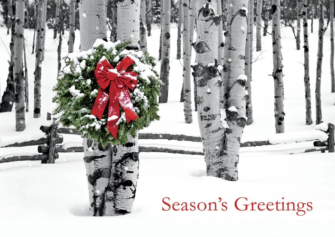 Birch Grove Holiday Cards 1