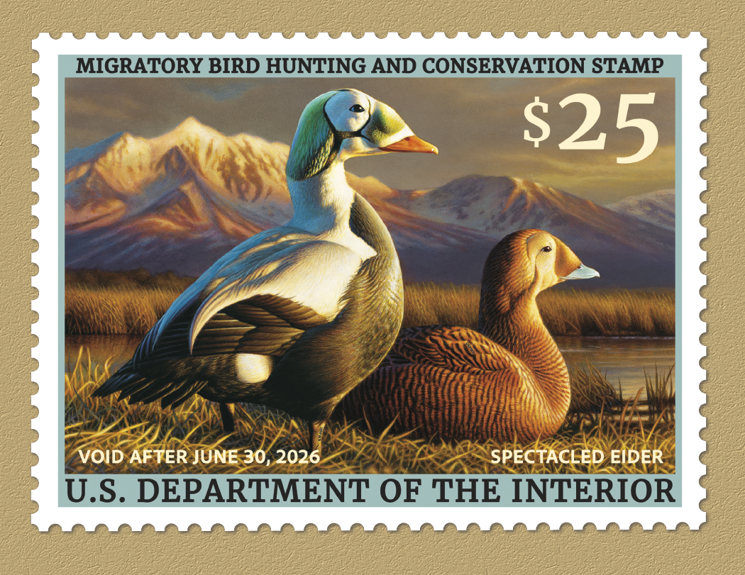 Triumph® Calendars Duck Stamps Calendar 66