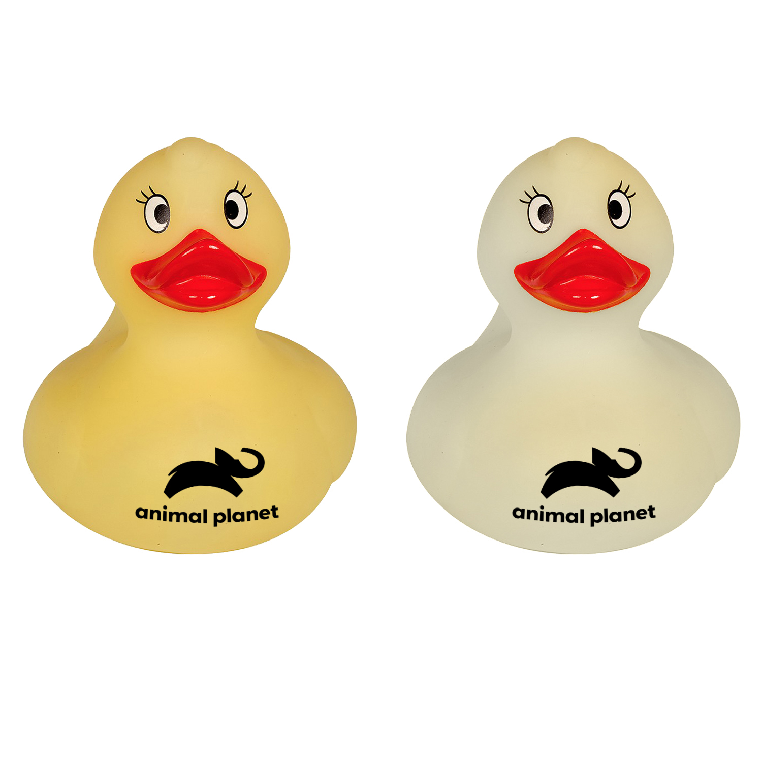 Color Changing Duck 11