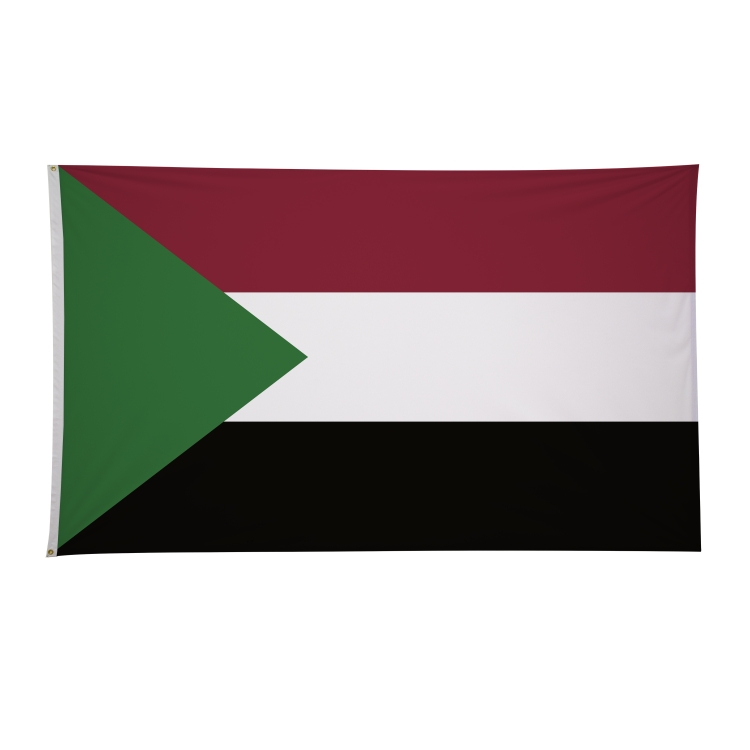 6' x 10' International Flags 70