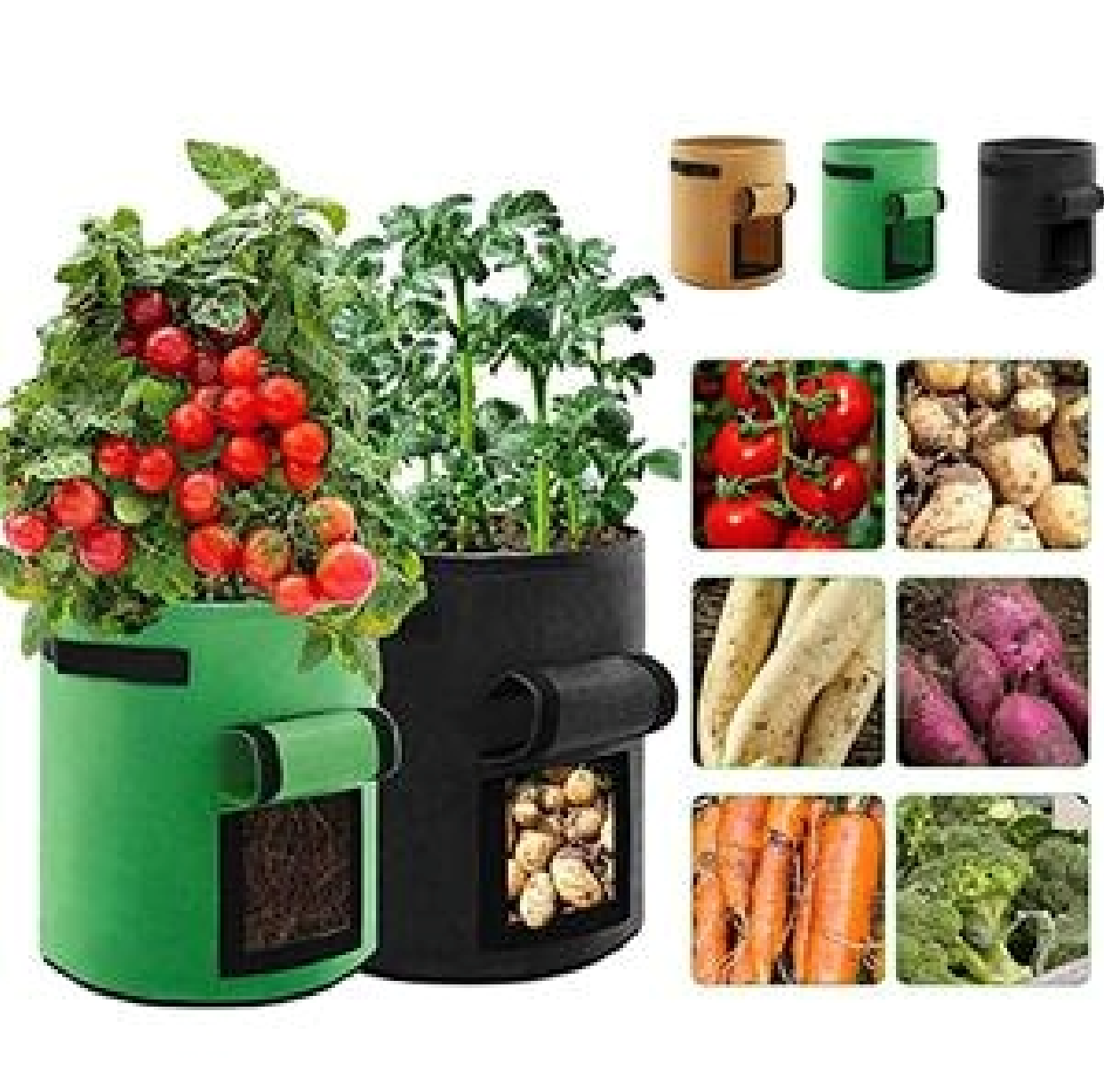 5 Gal Vegetable Grow Bag 3