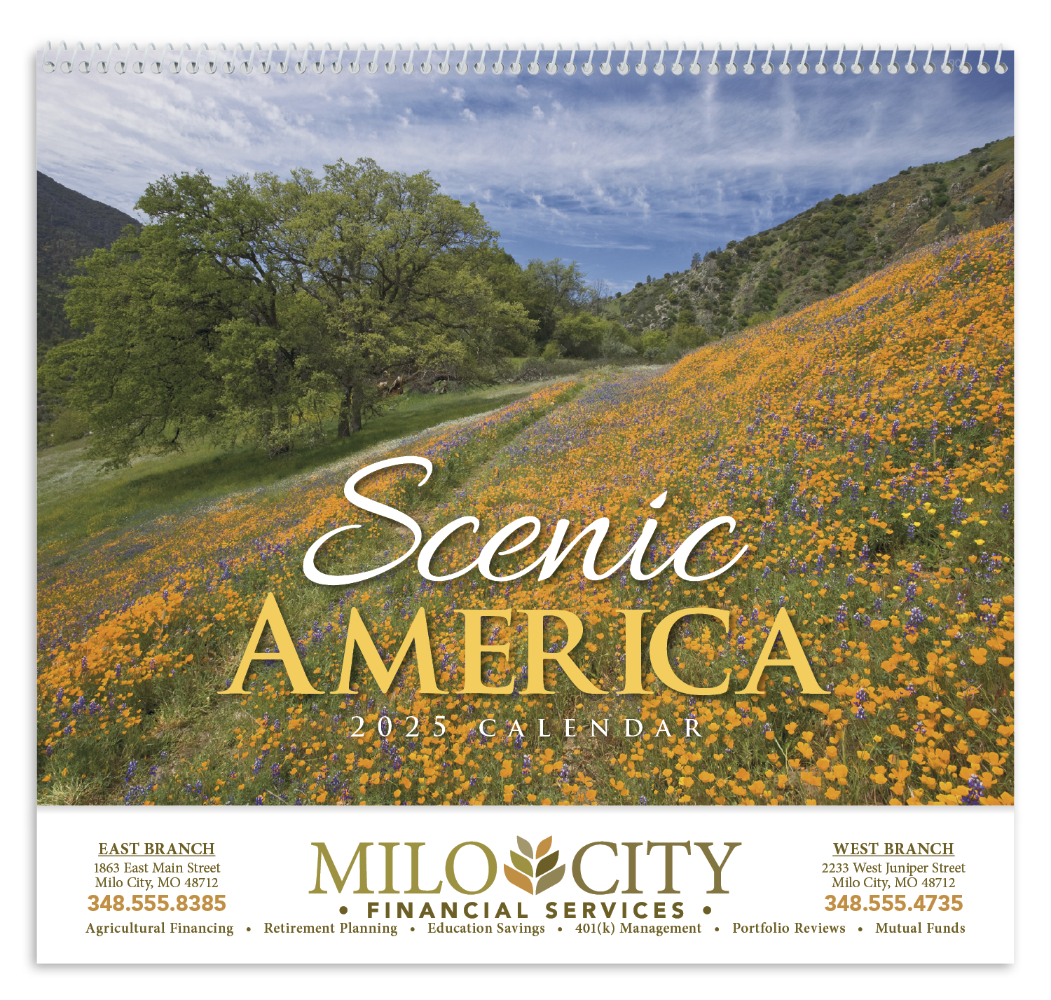 HotLine® Products Scenic America® Appointment Calendar - Spiral 33