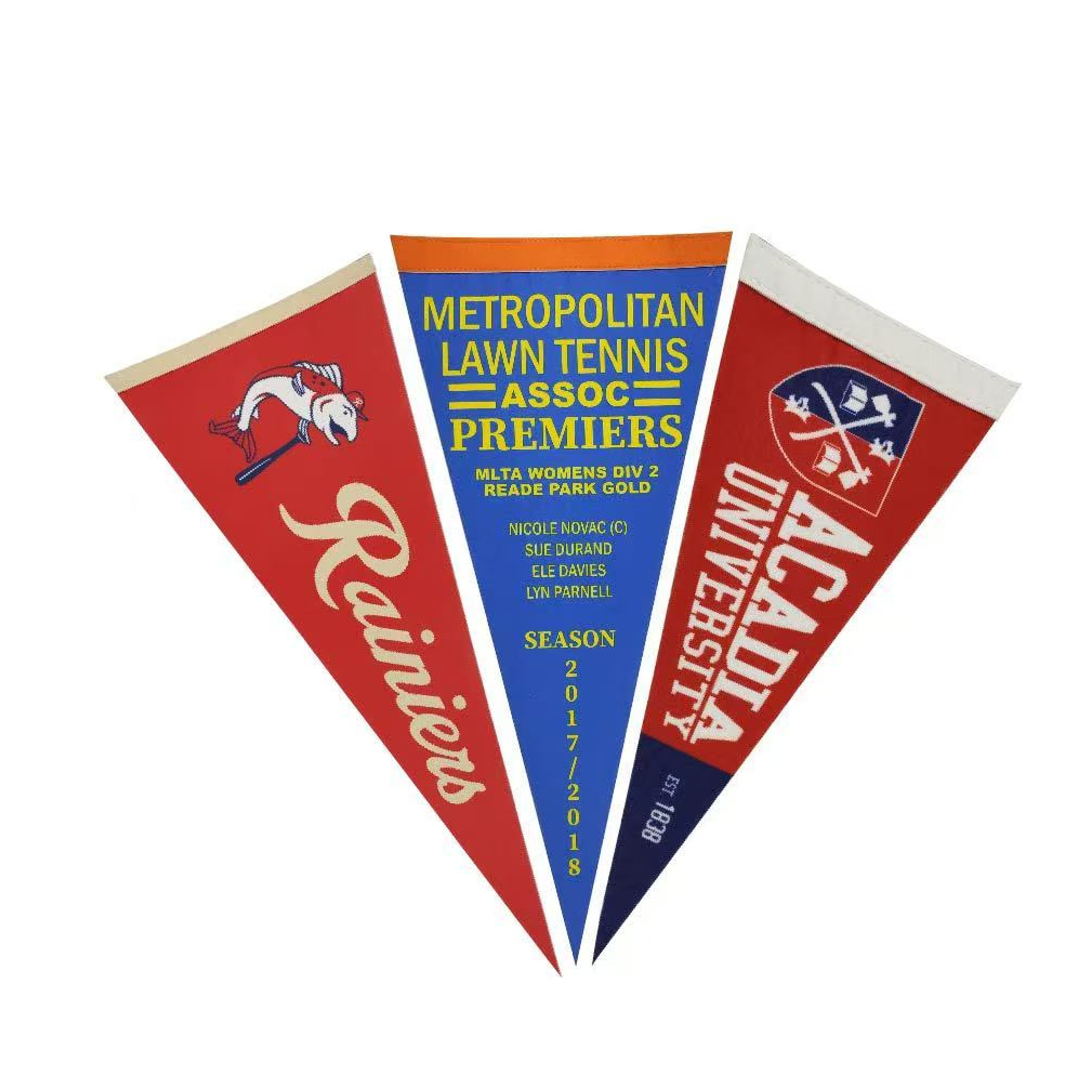 Full Color Felt Pennant 2