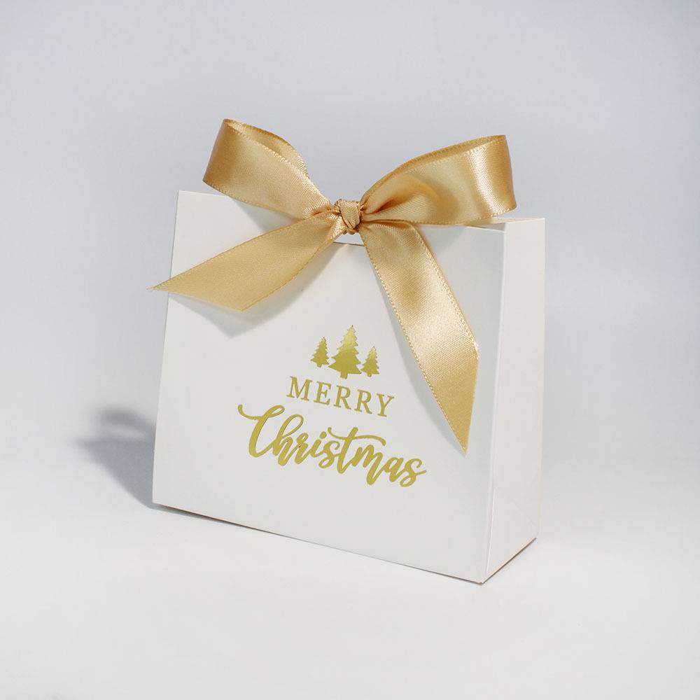 Party Favor Paper Bag w/ Bow Ribbon 8