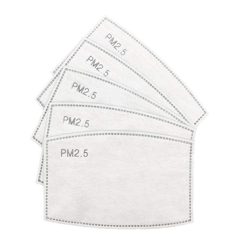 PM Filter 2.5 4