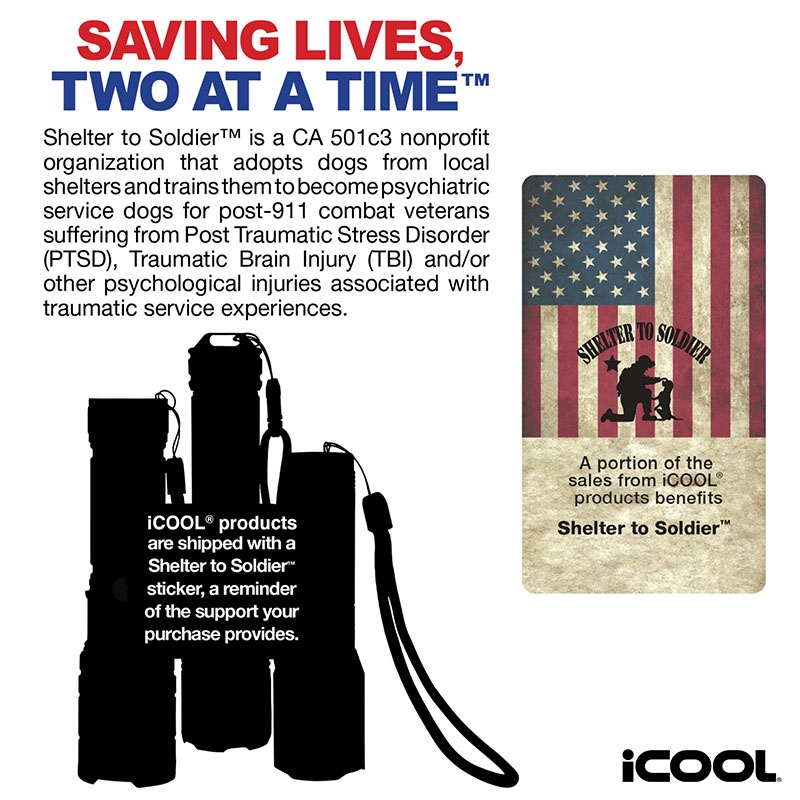 iCOOL Englewood Multi-Function Camping Light 1