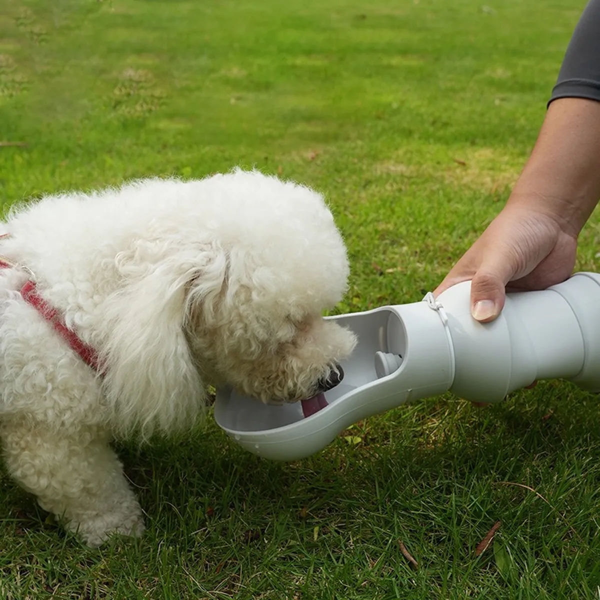 Collapsible Pet Water Bottle With Bowl & Strap 5