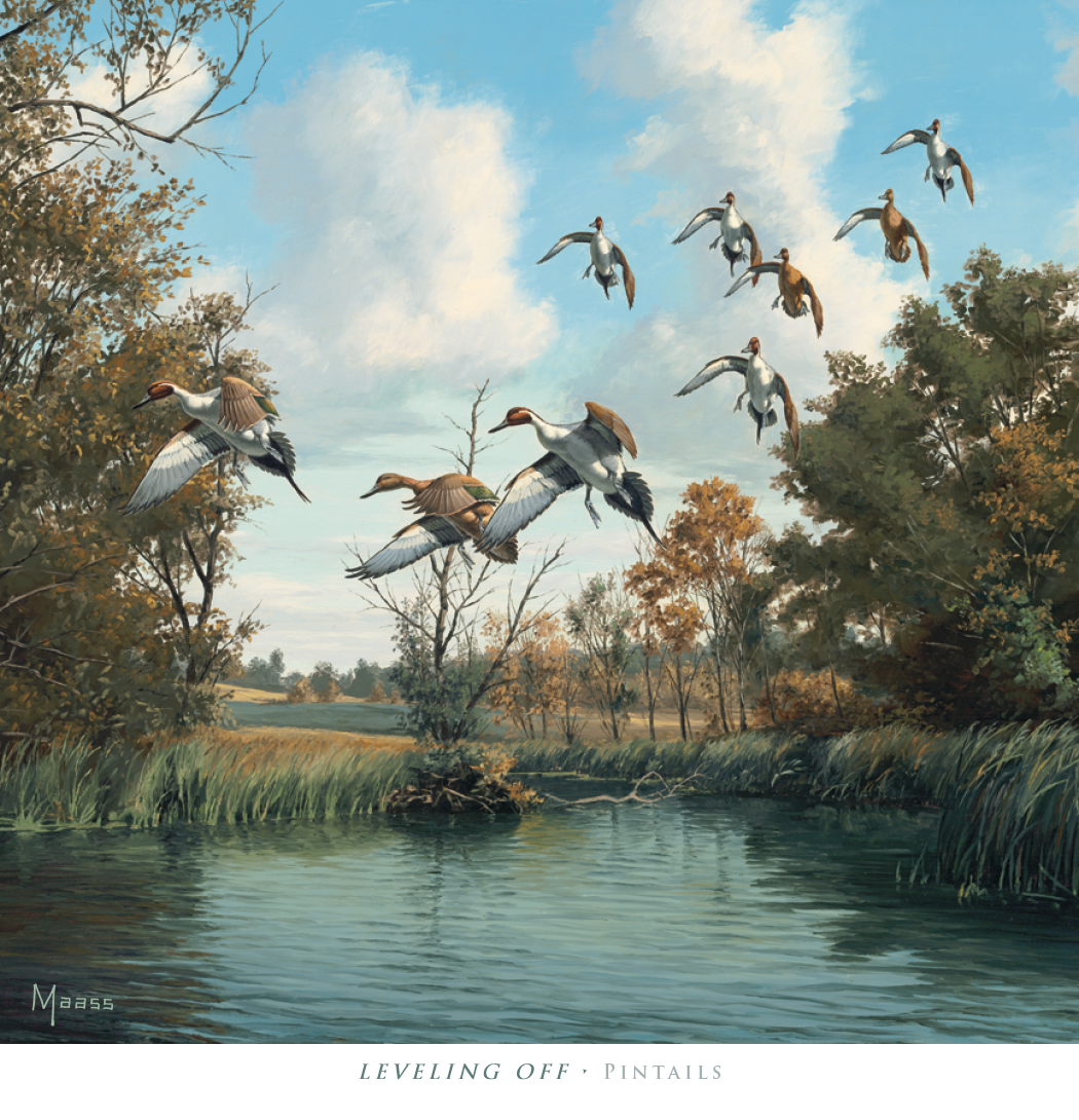 HotLine® Products David Maass Executive Calendar 37