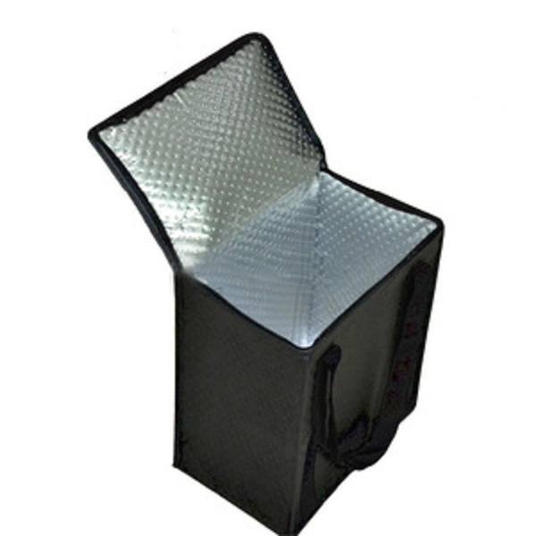 Cooler bag 2